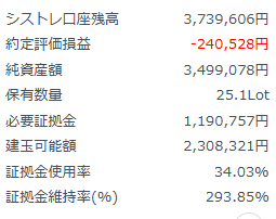 みんなのシストレ20240708評価損益