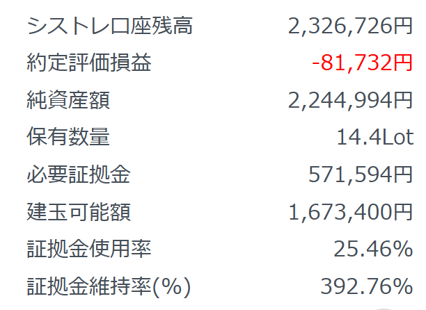 みんなのシストレ20240610　評価損益
